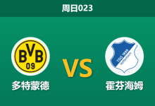 2025年12月7日 周日023 德甲前瞻：多特蒙德vs霍芬海姆，主场龙遭遇客场不败金身，谁能笑到最后？-足球赛事前瞻 | AI 智能分析 | 足球数据解读 - 球小智