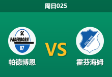 2026年9月20日 周日025 帕德博恩 vs 霍芬海姆赛前分析:霍村受困双线作战,客场让步是否暗藏冷意?-足球赛事前瞻 | AI 智能分析 | 足球数据解读 - 球小策